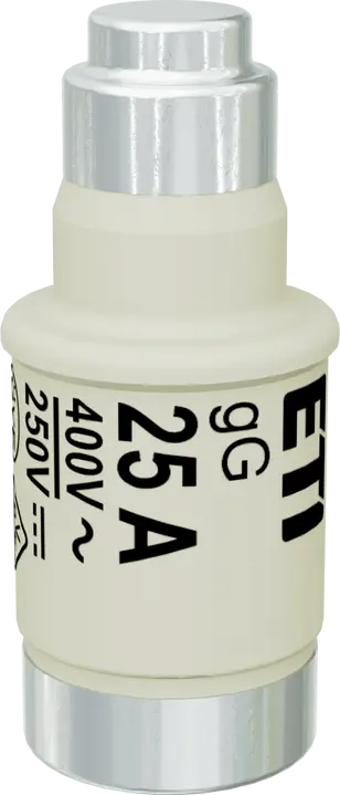 Image of D02 gG 25A/400V