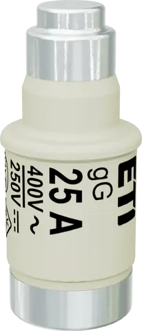 Image of D02 gG 25A/400V