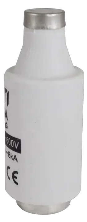 Image of DIII gG 25A/690V