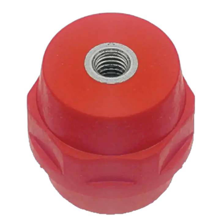 Image of INS 60855