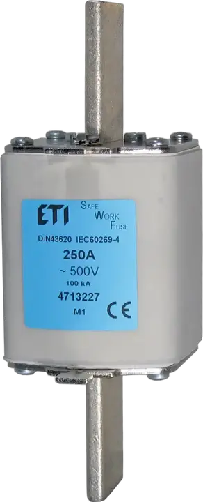 Image of NH000 SWF 160A/500V